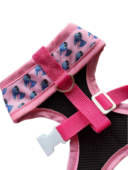 Agatha Box Arnés + Collar + Correa de paseo