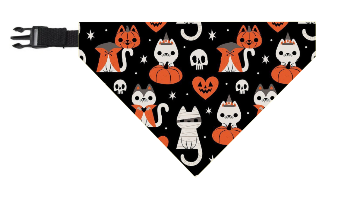Bandana Gatitos Halloween 👻 🎃