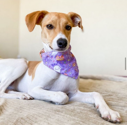 Bandana fantasmas Halloween