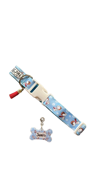 Box Collar + Placa de identificación