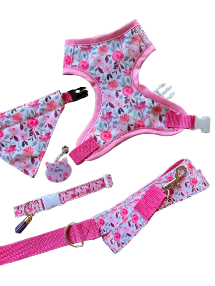 Premium Box: Arnés + Bandana + Collar + Placa de identificación+ Correa de paseo