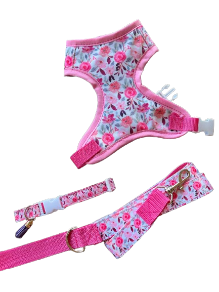 Agatha Box Arnés + Collar + Correa de paseo