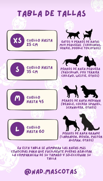 Abi Box: Bandana + Collar + Placa de identificación+ Correa de paseo