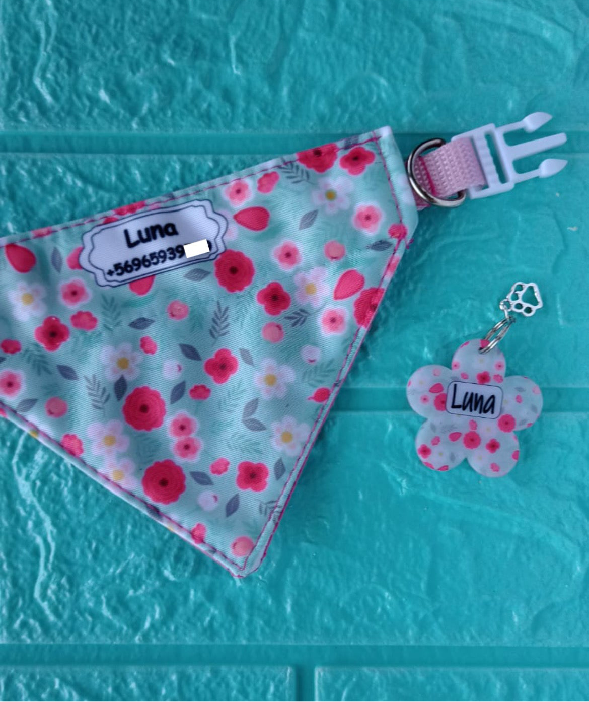 Box Bandana + Placa de identificación