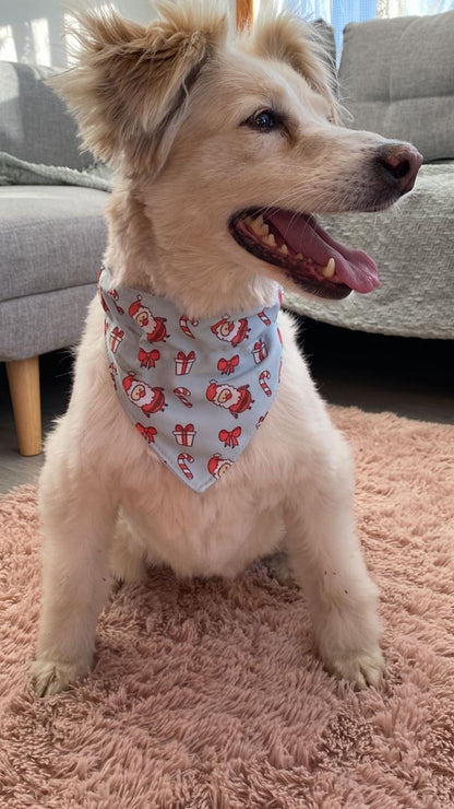 Bandana Pascueros celeste 🎄