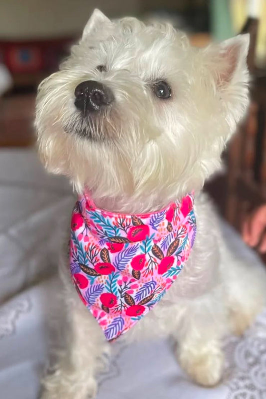 Bandana  Flores 🌺