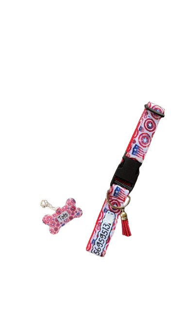 Box Collar + Placa de identificación