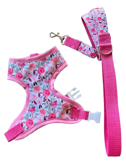 Árnés con correa de paseo