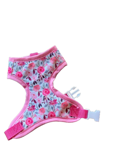 Árnés con correa de paseo