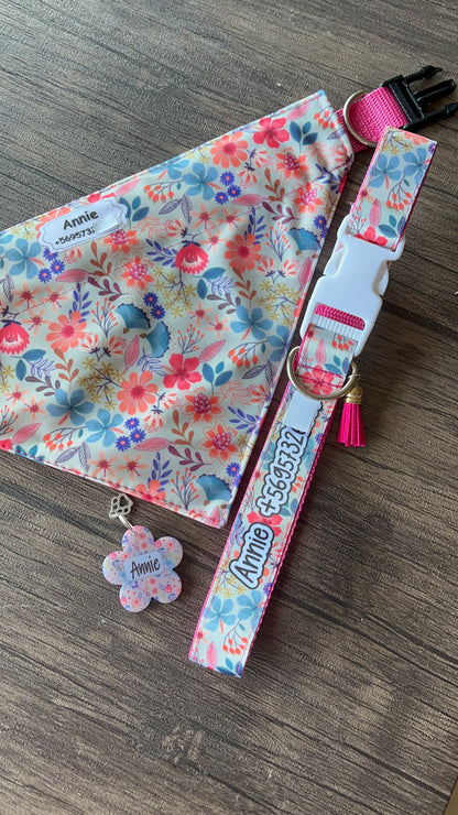 Box Bandana + Collar + Placa de identificación