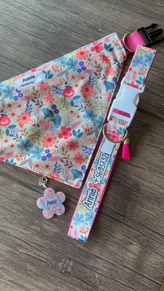 Box Bandana + Collar + Placa de identificación