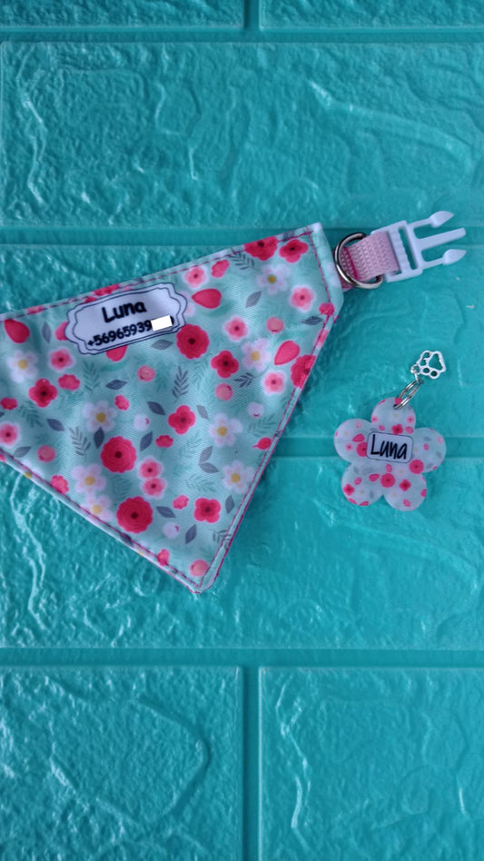 Box Bandana + Placa de identificación