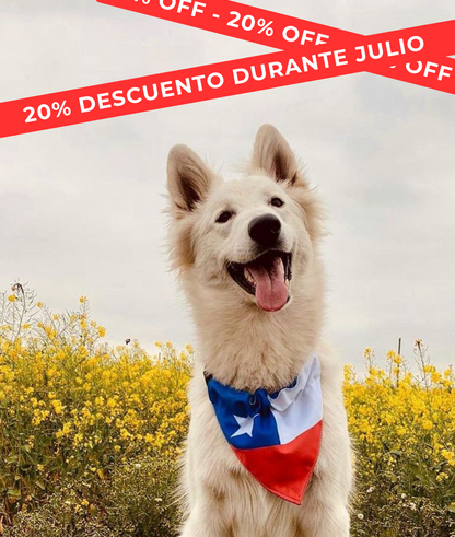Bandana Chilenos de Corazón