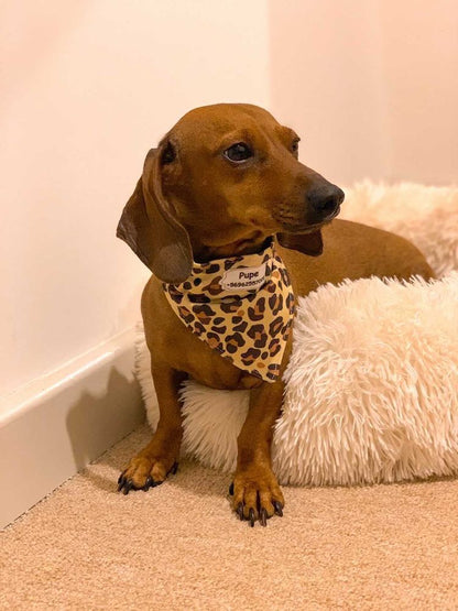 Bandana Animal Print Café 🐅