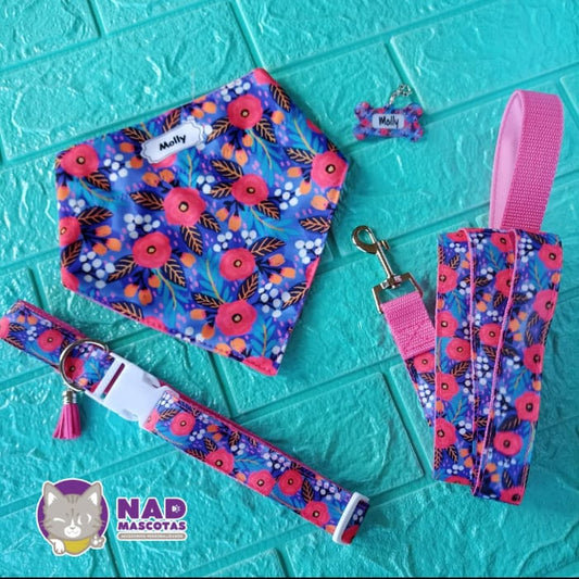 Abi Box: Bandana + Collar + Placa de identificación+ Correa de paseo