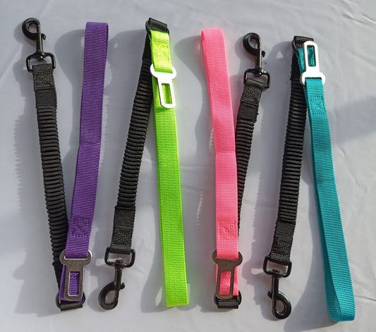 Correa 2 en 1: Correa de paseo + Cinturon de seguridad